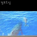 컴포트 짐 이미지