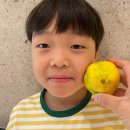 힐튼호텔 경주 이미지