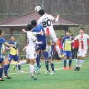 제일FC Daum카페