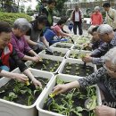주공5단지아파트 경로당 이미지