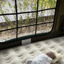 백일야영장 이미지