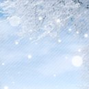 고운스킨 이미지