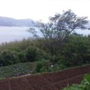 가나부동산중개사무소 이미지