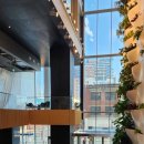 스카이타워 이미지