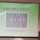 김경룡 카카오 검색결과