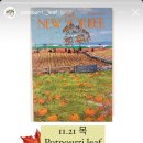 포푸리리프 이미지