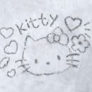 핑크트리 이미지