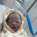 파티마여성병원 이미지