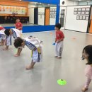 경희영어태권도장 이미지