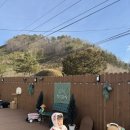 청석포레 이미지