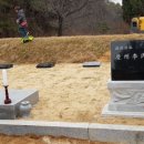 정담상조 이미지