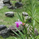 001-운정1-001 이미지