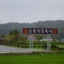 순흥전통묵집 Daum카페