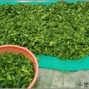 덕음농장 이미지