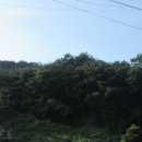 남구-164 이미지