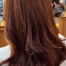 비아프헤어 이미지