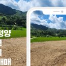 청양전원부동산공인중개사 네이버블로그