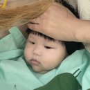 은미장원 - 강진군 | 은미장원