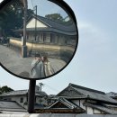 [후쿠오카 다자이후] 후쿠오카근교 당일치기여행 매화로 유명한 다자이후 텐만구 구경 다녀왔어요.