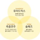 한국달크로즈유리드믹스연구소