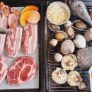 감성조개 이미지