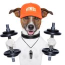 프라임시티부동산공인중개사사무소 이미지