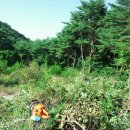 가득농장 이미지