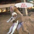국짱 이미지