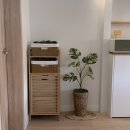 휴양펜션 화이트 드림 | 제주 돌집 독채 펜션 조용히 쉬기 좋은 “한동두동” _ 감성 숙소로 너무 추천 👍🏻