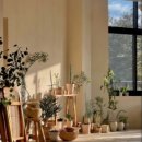 자연농장 | 경기도 광주 아이들과 나들이 추천｜플라워카페 유칼립투스농장 자연 힐링 방문 후기