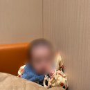 코끼리들이 웃는다 | [🥭육아일기] 7개월, 31주(D+215~221) ㅣ 막수 분유 전환 성공 ㅣ 배밀이 대장 ㅣ 첫 동물 카페 나들이