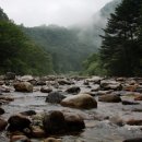 새론민박 이미지