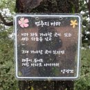 봉제산 오리나무쉼터 티스토리
