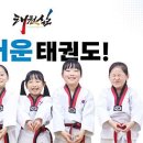 캡틴태권도 이미지