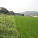 지평농장 이미지