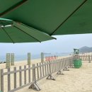 서프키키