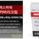 웅비투어