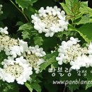 오늘의우리 이미지