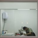 조선생 펫살롱 이미지