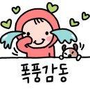 레아드레스앤카페