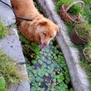 금서산방민박 이미지