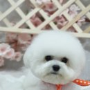 쭈스타일 이미지