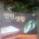 에콜로지아