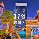 [태국 37일간의 방황기] 34일째 시암 파라곤 푸드코트 더 버클리호텔빠뚜남 팟퐁야시장