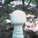 돌뫼식당 이미지