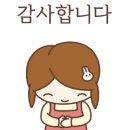 커낼워크 여름동1 이미지