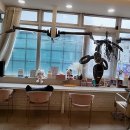 연인미용실 | 인생 머리 찾으러 떠나는 여정, 완벽한 철산미용실 발견 후기!