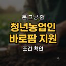 더바로팜 | 청년농업인 바로팜 지원 신청 전 꼭 알아야 할 3가지