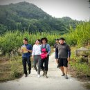 병수네농장 이미지