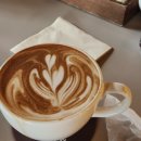 해물왕칼국수 | [26.03.01. 일] 시흥 | 조여사네 해물왕칼국수 ; 해물 한가득 시원한 칼국수 맛집